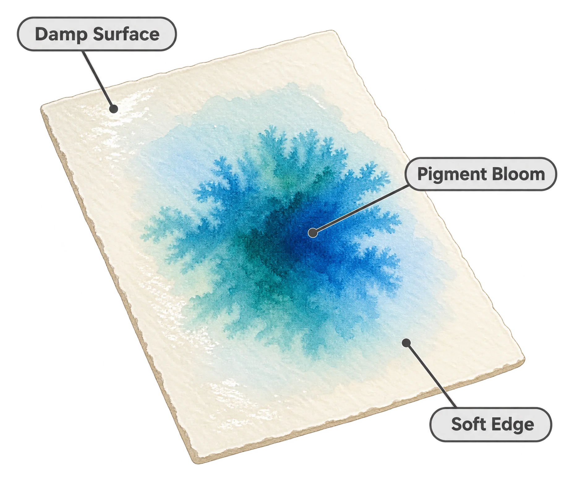 Close-up of damp watercolor paper showing a drop of pigment spreading outward into a soft, feathered cauliflower-shaped bloom.