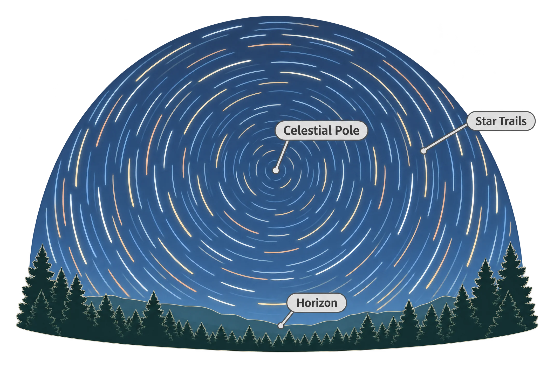 A night sky long-exposure image showing concentric circular star trails centered on the celestial pole, with a silhouetted treeline along the bottom horizon.