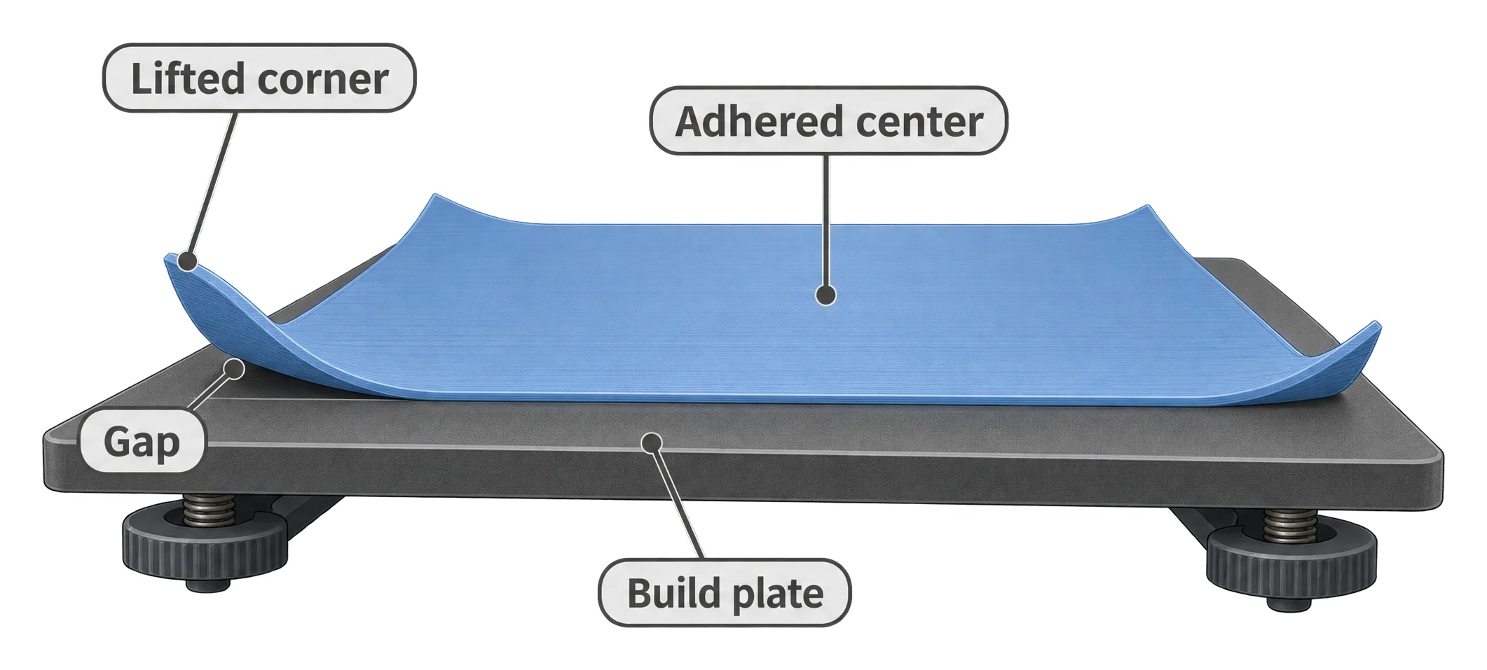 Close-up side view of a flat print on a build plate, its corners curled upward away from the bed while the center stays flat, with a visible gap under the lifted corner.